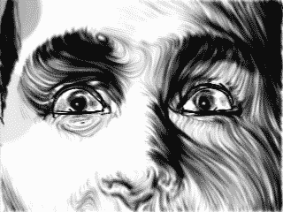 frame 5