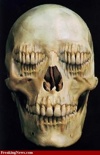 Skull-Eyes--35040.jpg