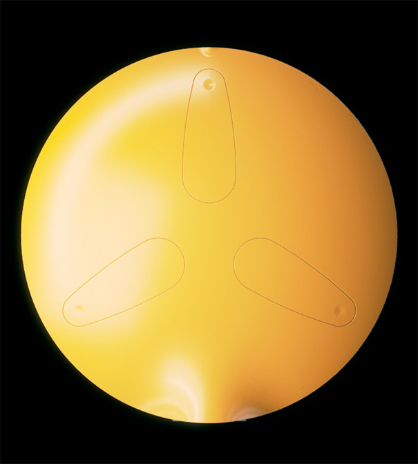 oo6