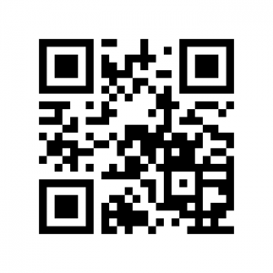 LeCollagiste-VJ-RSS